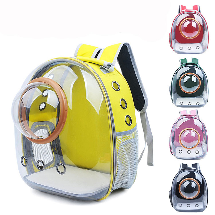 Quali caratteristiche deve essere utile una borsa per animali domestici?